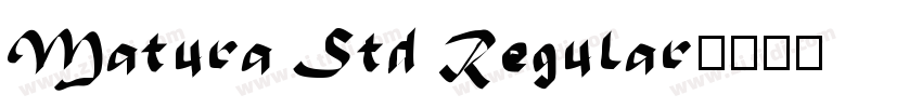 Matura Std Regular字体转换